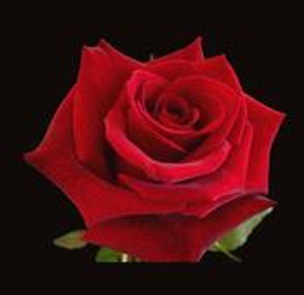 June Luella Waller Beck