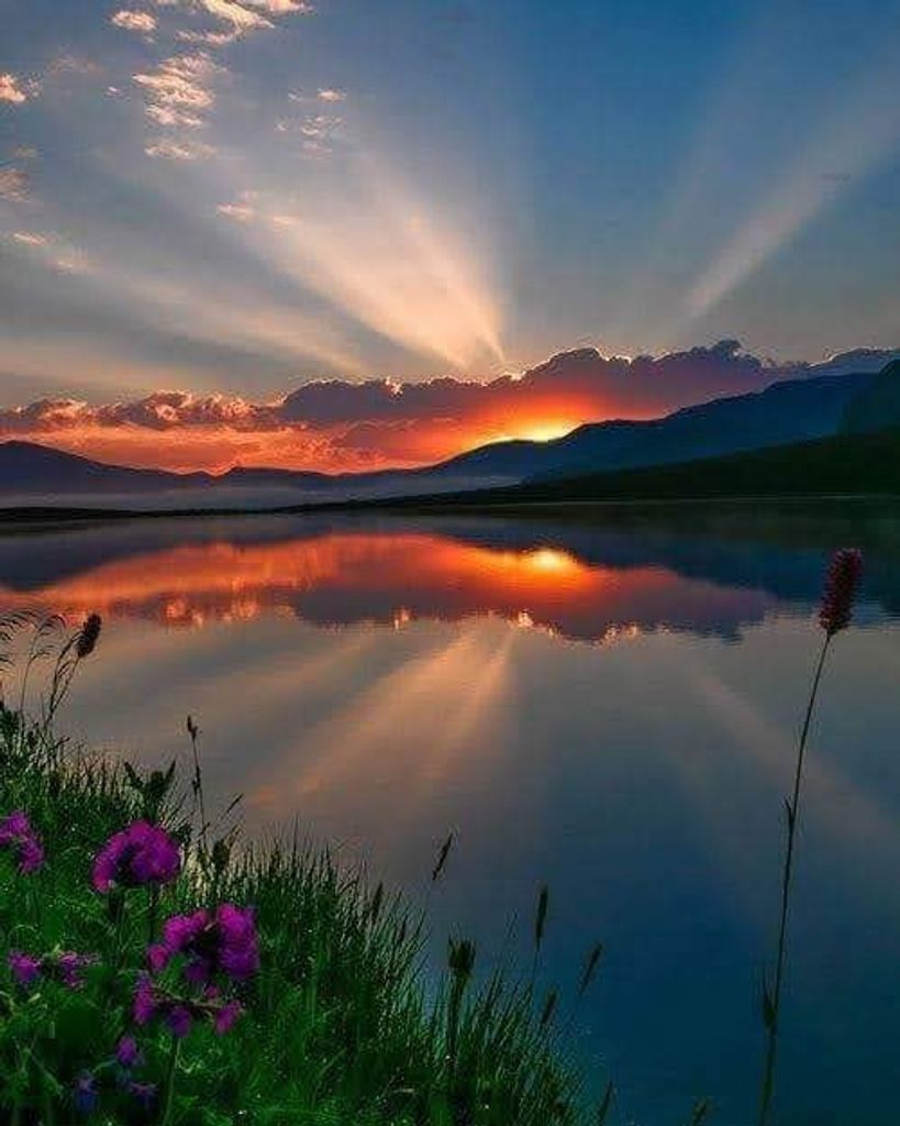 Don Haluza Profile Photo