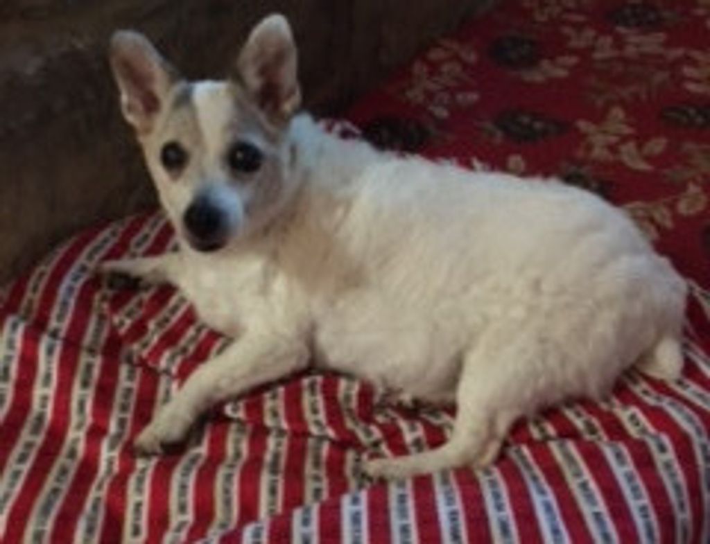 Leesie Mae Norrell Profile Photo