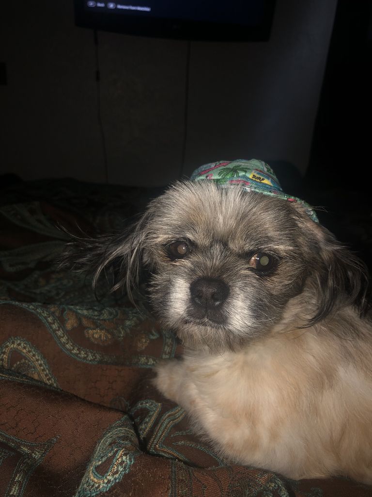 Max Profile Photo