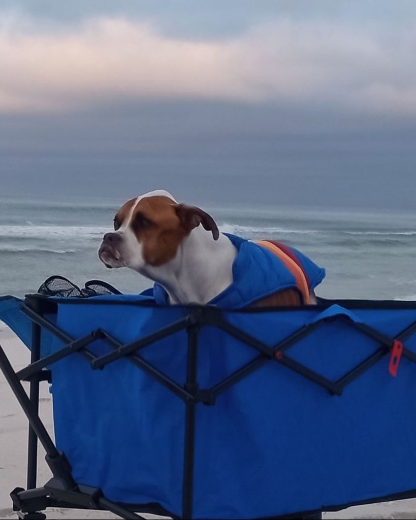 Teddy Tew Profile Photo