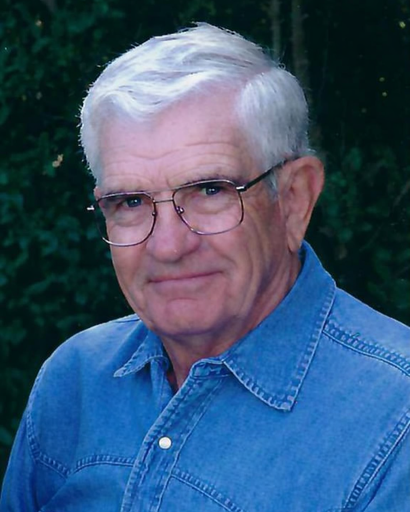 David E. Gorecki's obituary image