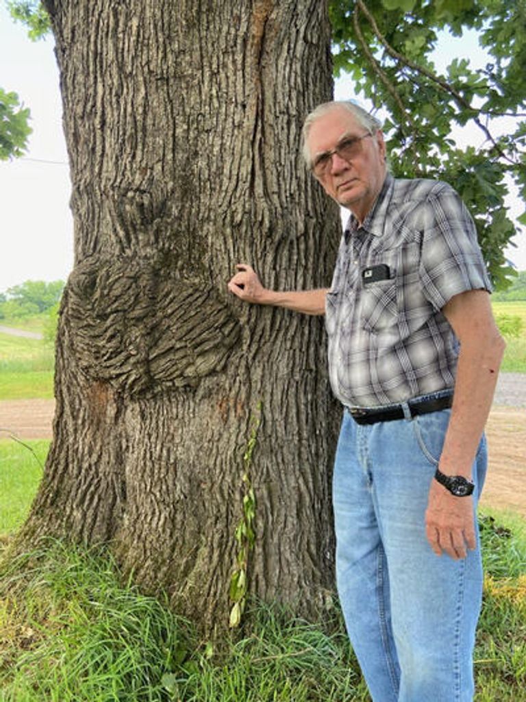 Jimmy Lee Strnad Profile Photo
