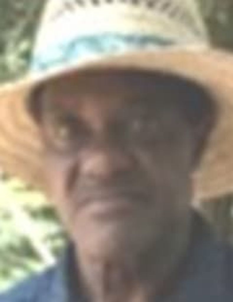 George Allen Perry