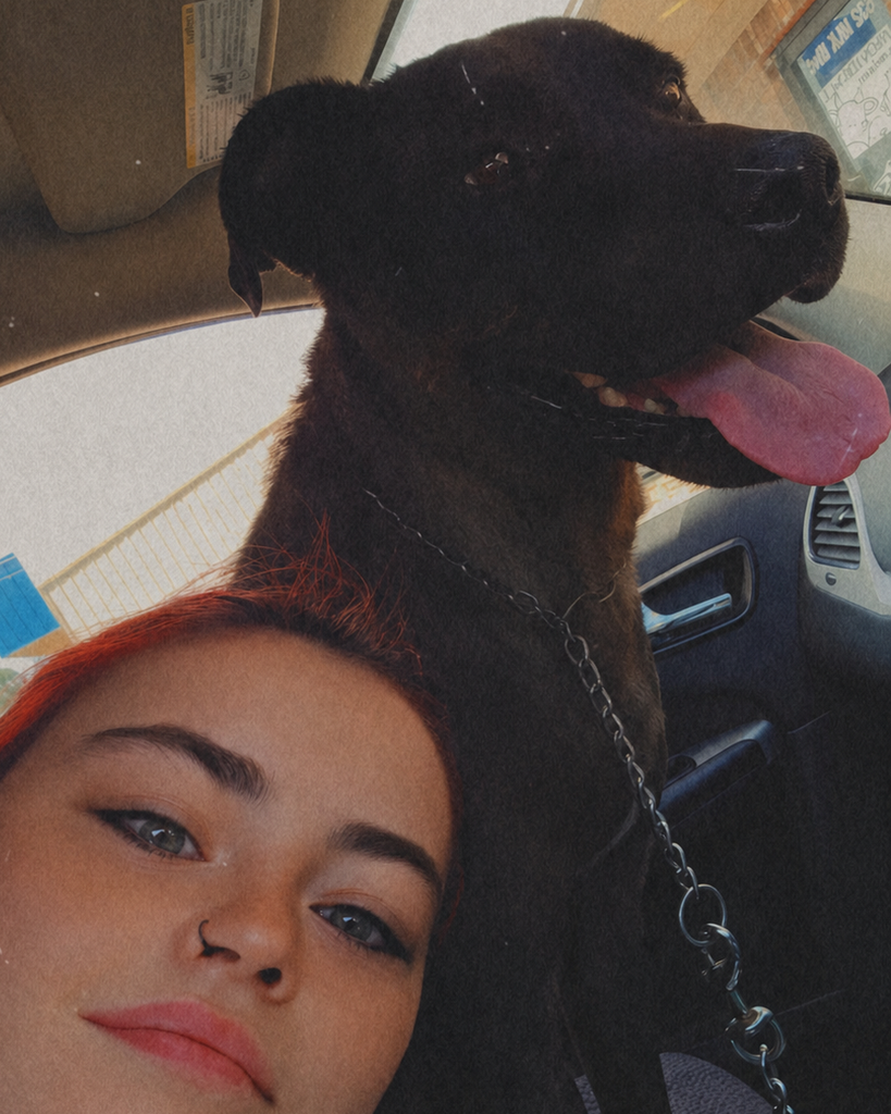 Rockey Profile Photo