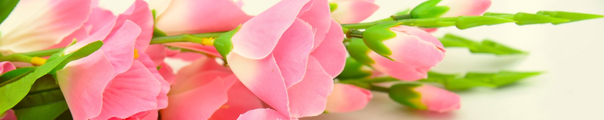 Cover photo for Eula Faye Dale's Obituary