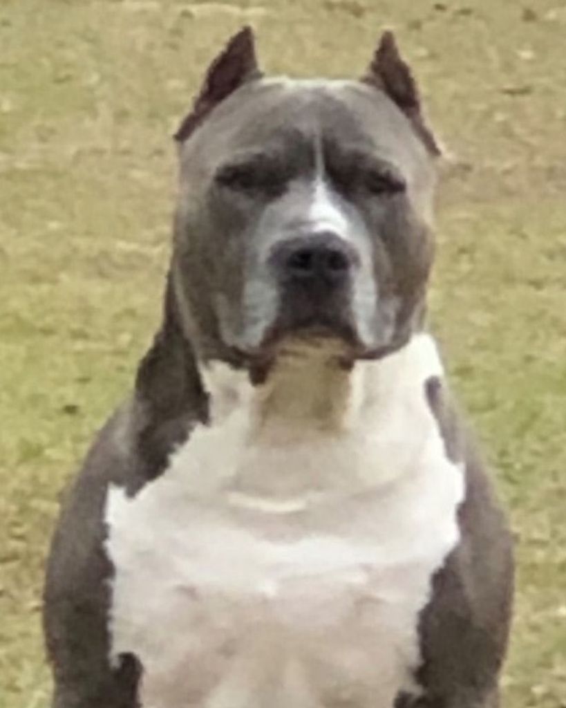 Fatty Word Profile Photo