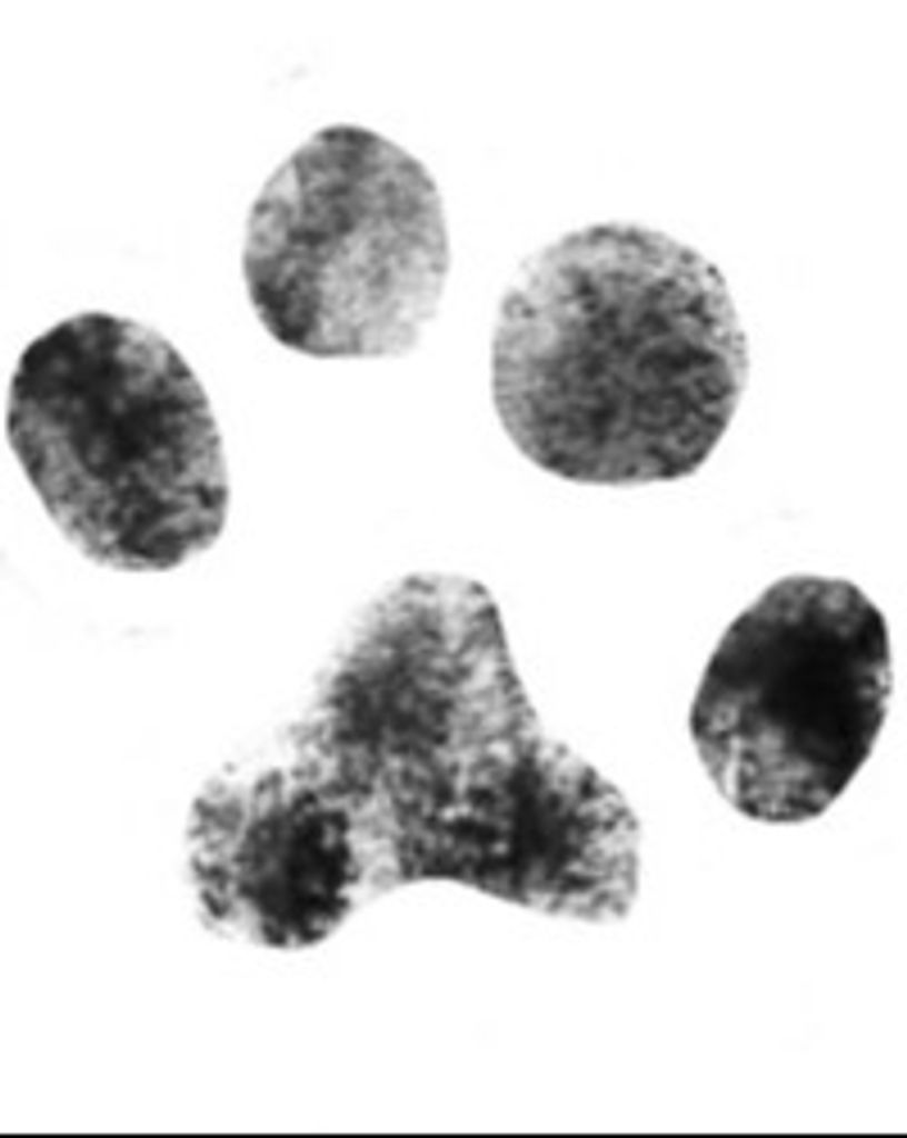 Butters Lopez Profile Photo