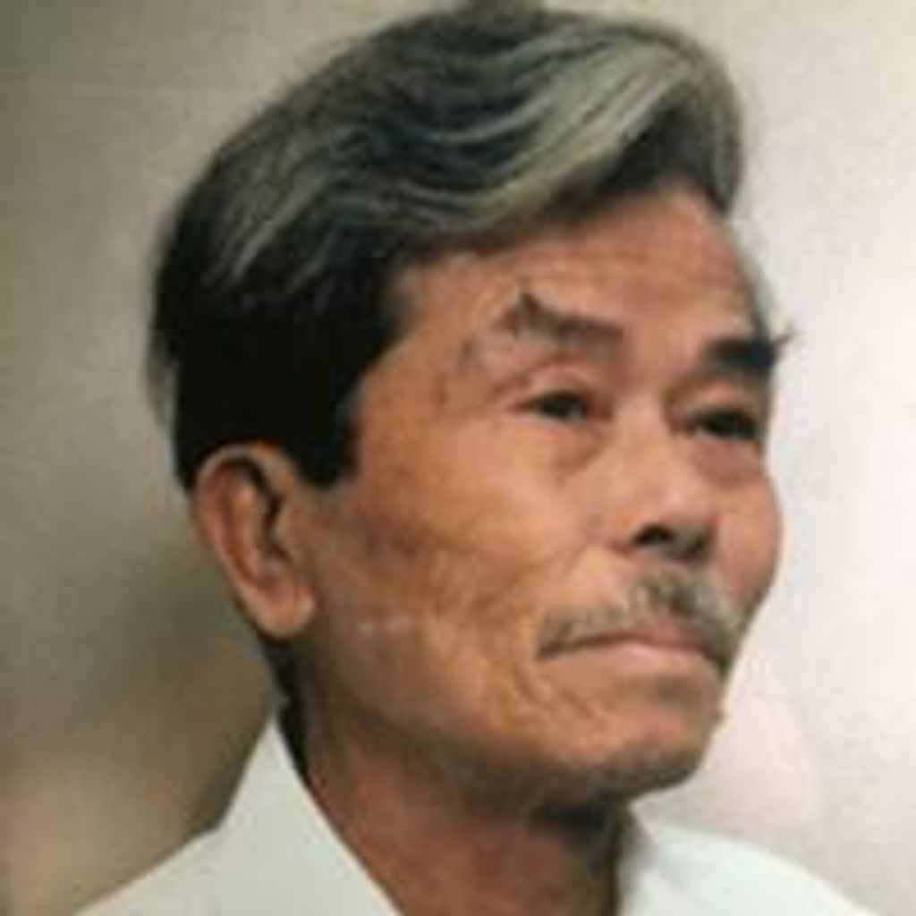 De Van Dinh