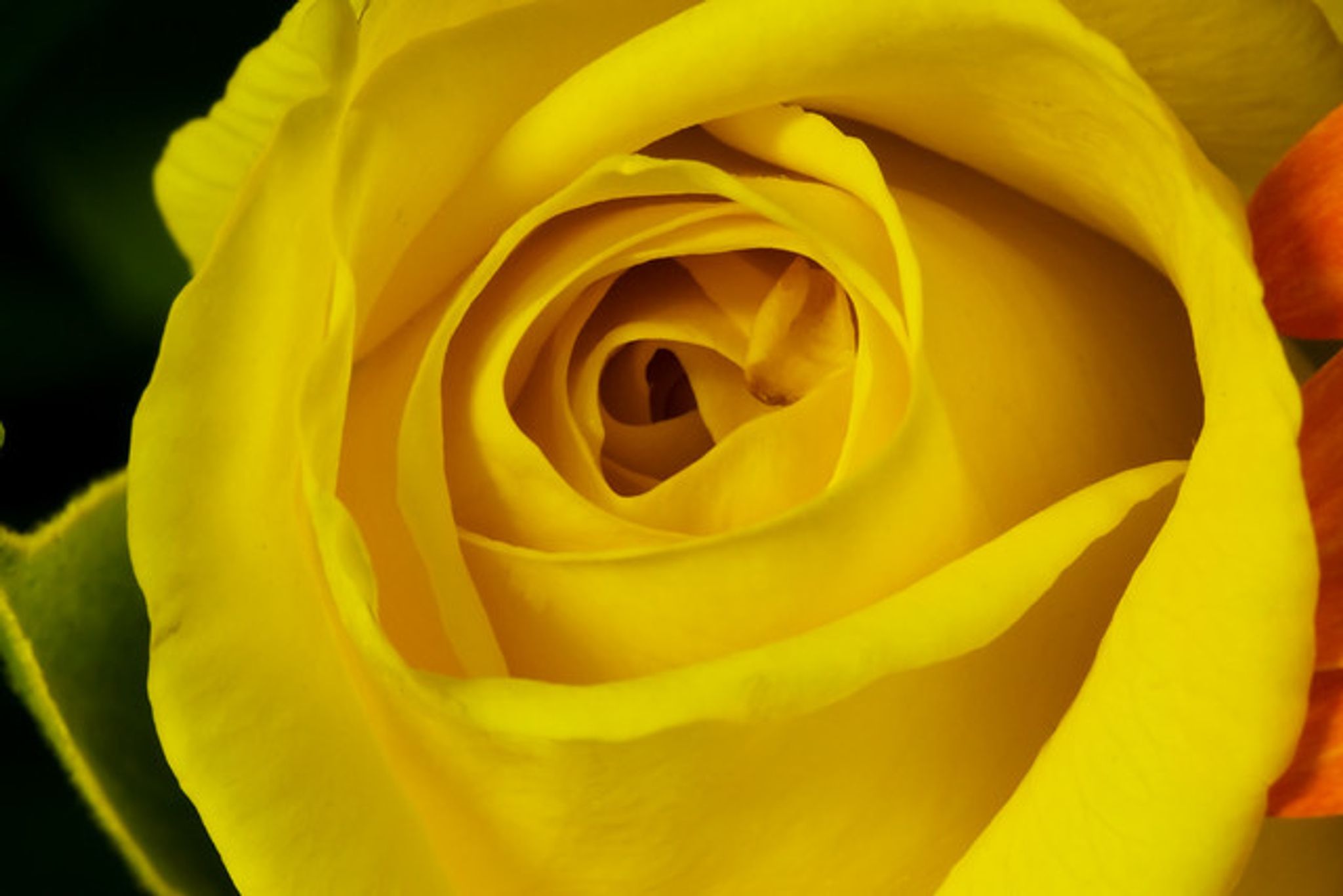 Cover photo for Delois Williams's Obituary