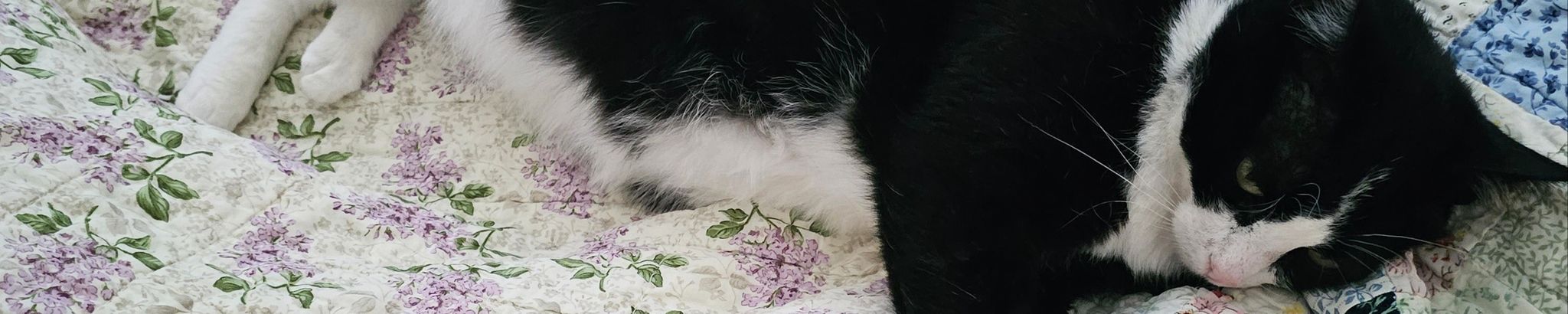 Cover photo for Inez (Peggy) Renz's Obituary