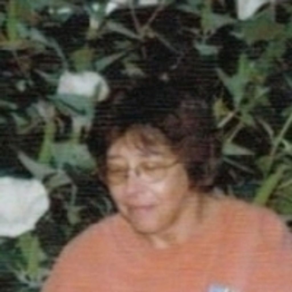 Carol A Schultz
