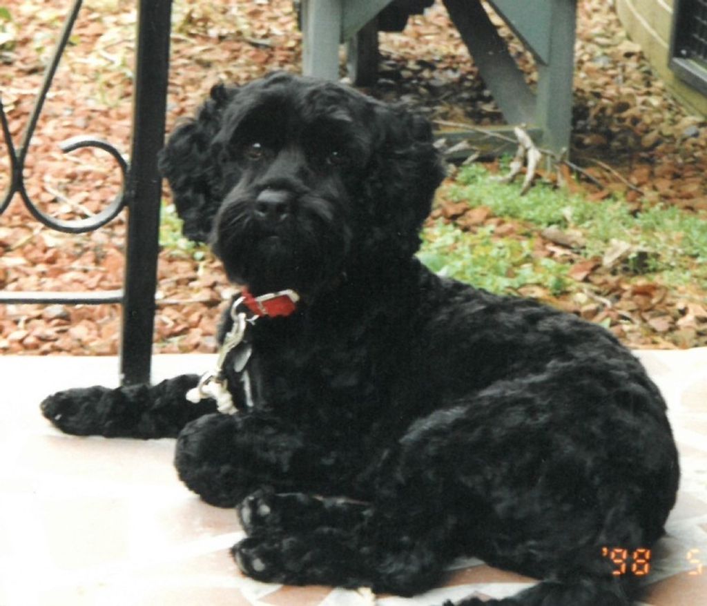 Ernie Kiser Profile Photo