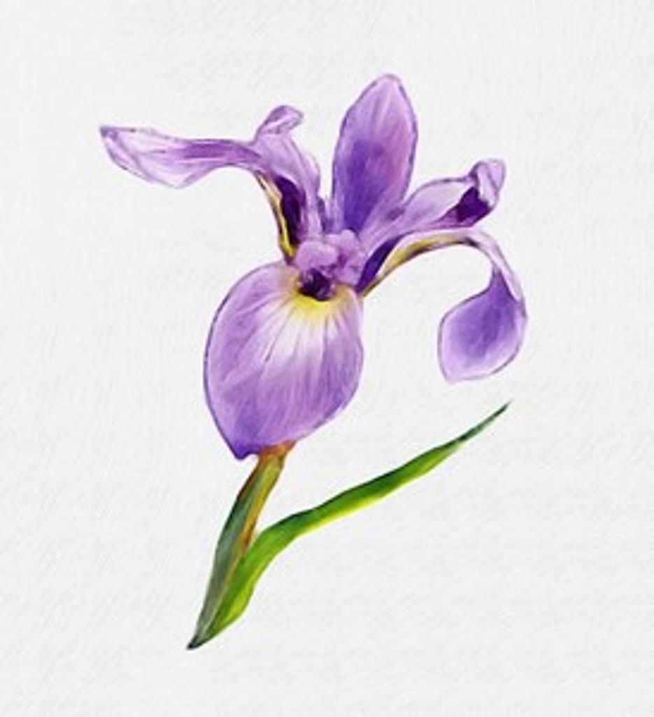 Linda M. Saccone
