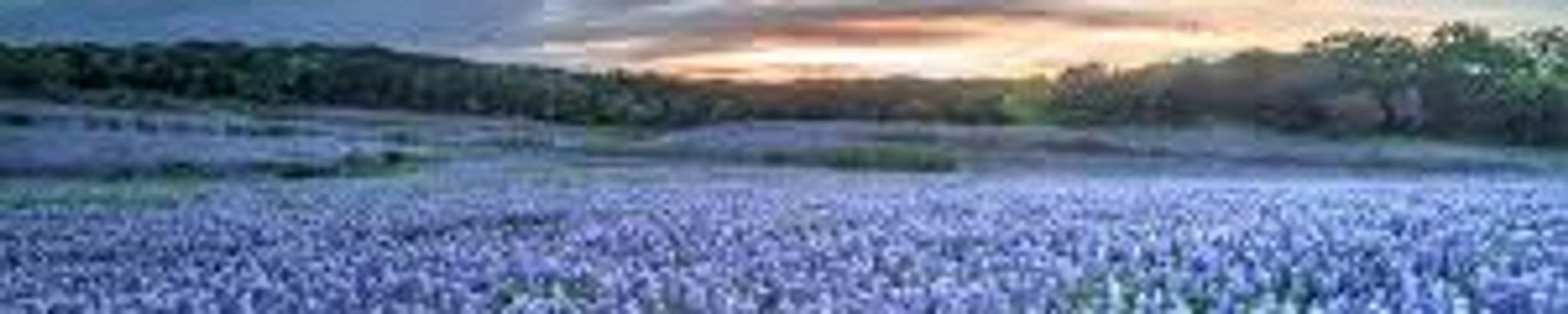 Cover photo for Rachel Ann Bilbo DuBois's Obituary