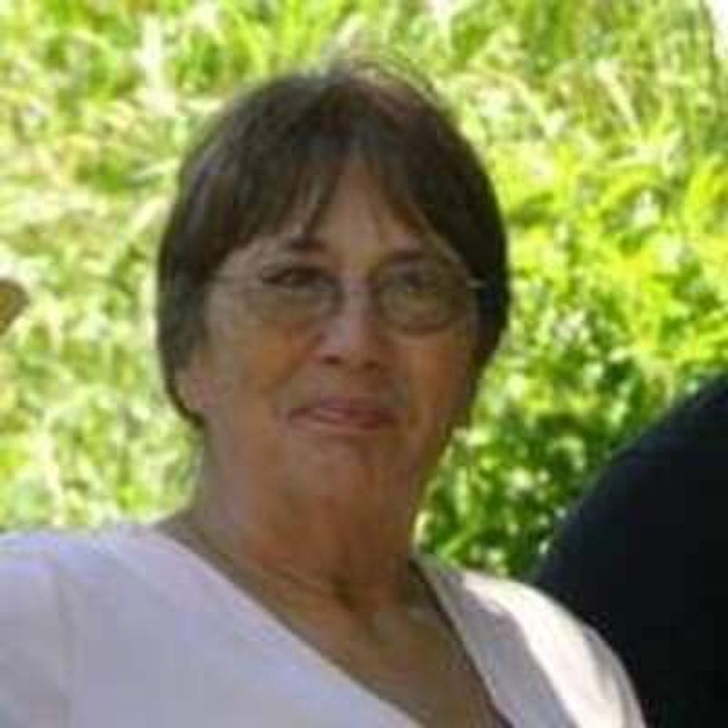 Carol Creek Profile Photo