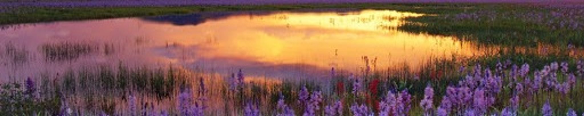 Cover photo for Katherine Gentry Thompson's Obituary