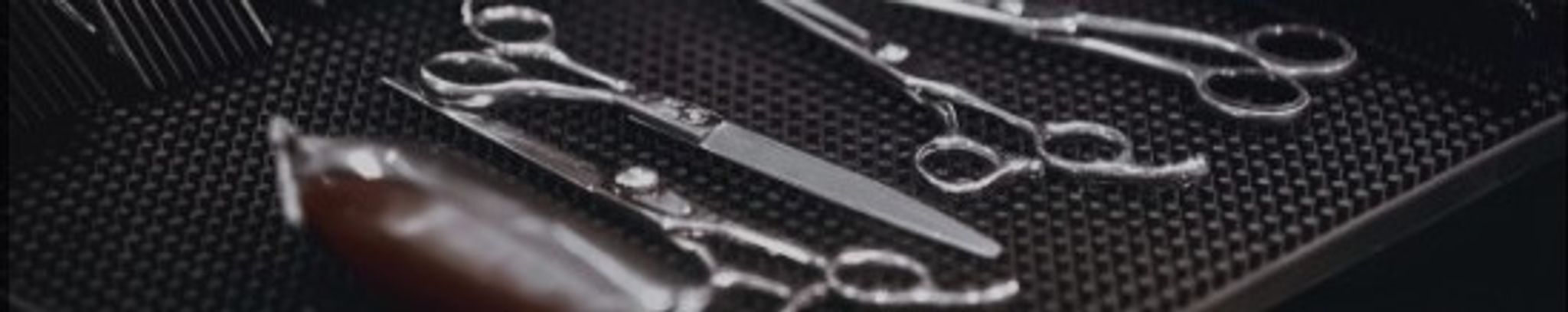 Cover for Vince Sergi's Obituary