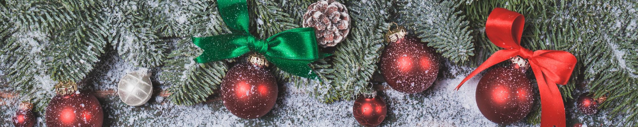 Cover for Alison Jayne Hill's Obituary