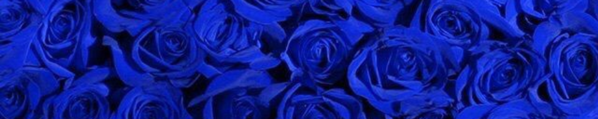 Cover for Joseph Perkins's Obituary