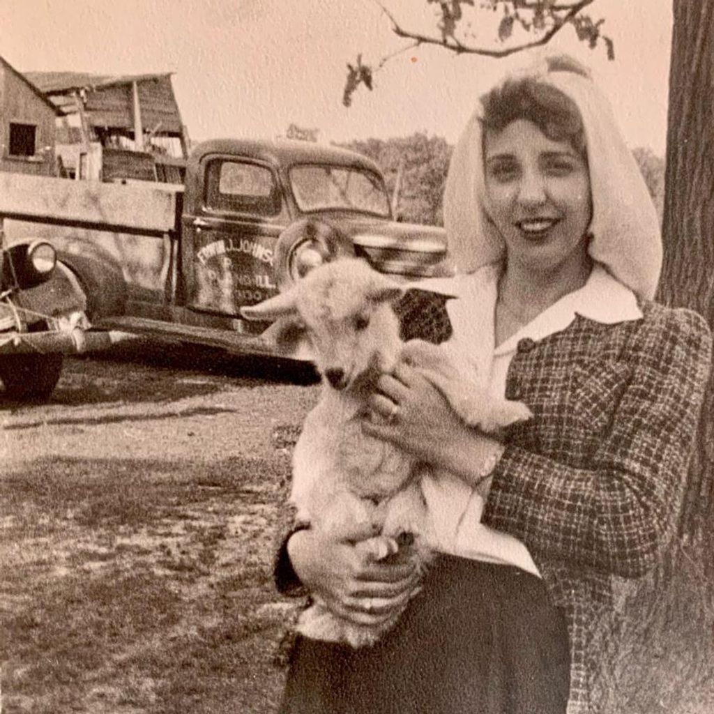 Anita M. Chamberlain