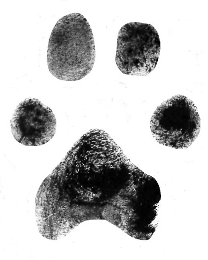 Rayna Mazzucco Profile Photo