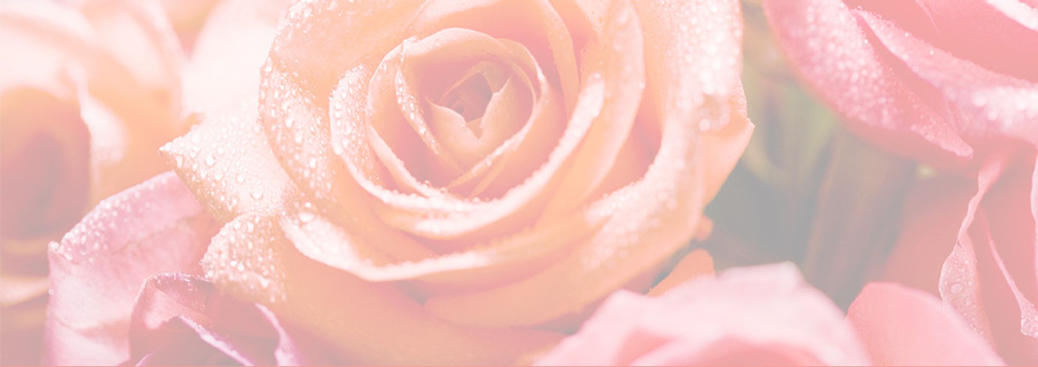 Cover photo for Madron Larue Evans's Obituary