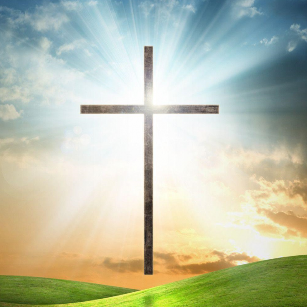 William Steinmetz Profile Photo