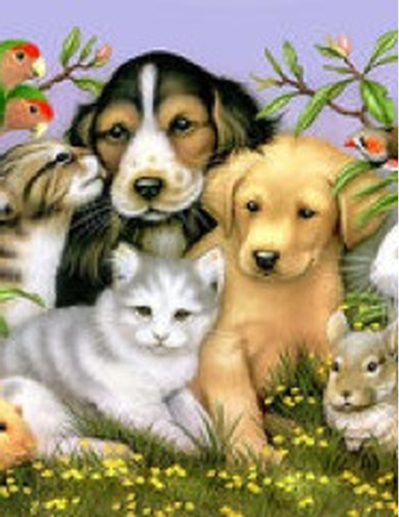 Katherine M. Whelpley