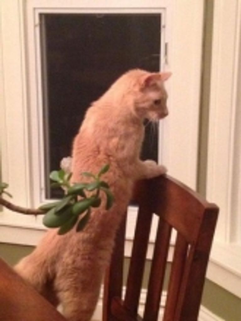 Chardonnay Moeggenborg Profile Photo