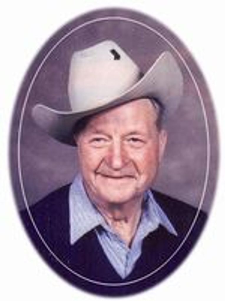 Norman Wanstedt