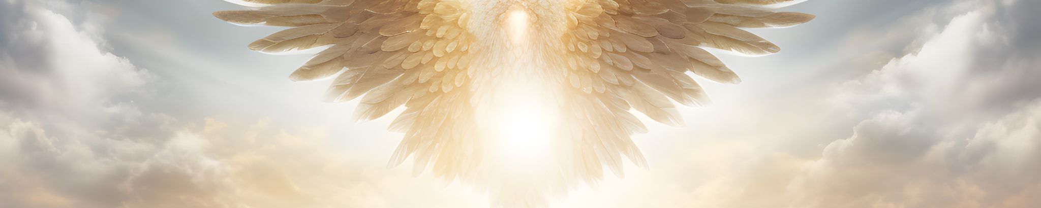Cover photo for Ismael Nieves's Obituary