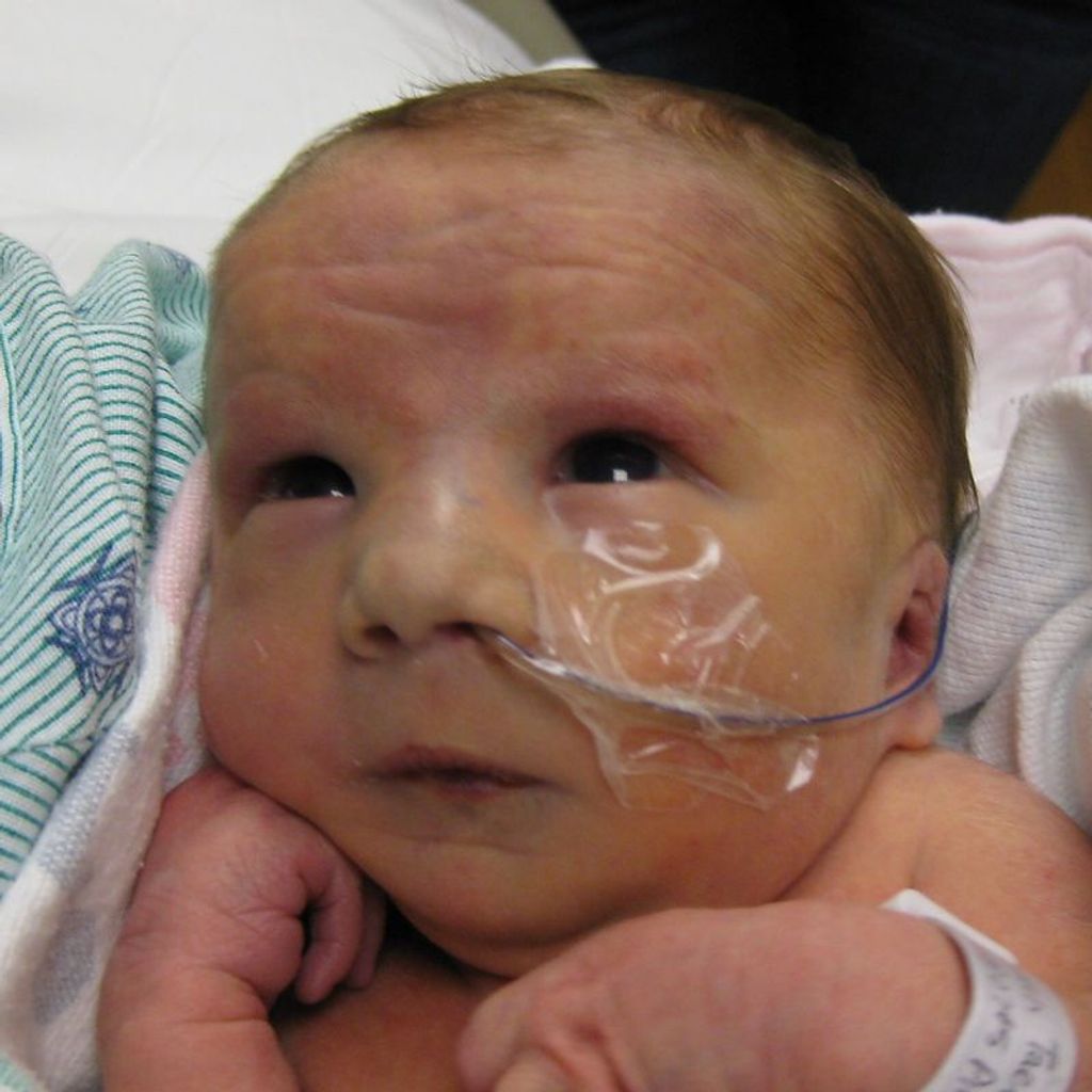 Lily Grace Taets