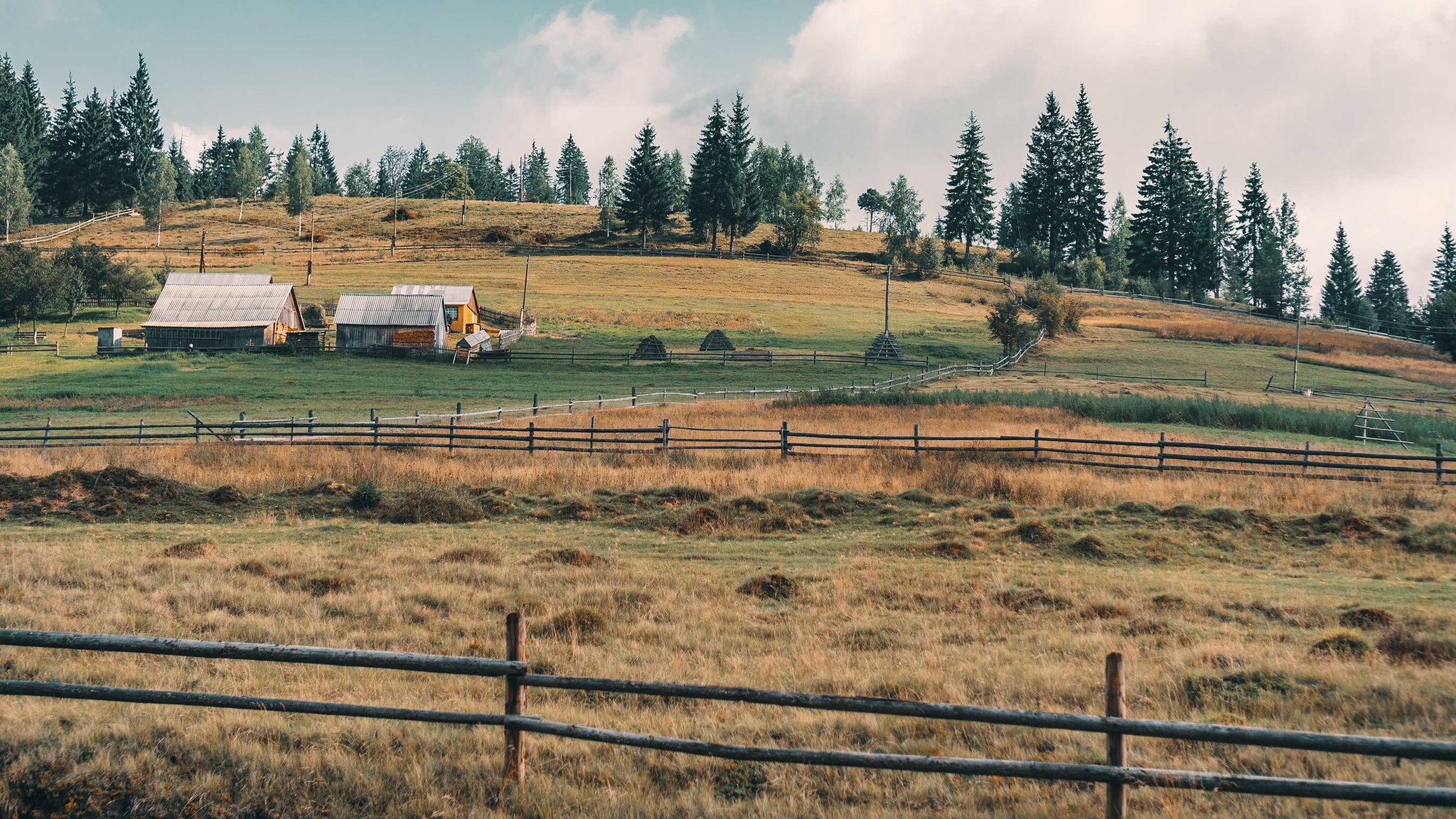 Cover for Wayne F. Engle, Sr.'s Obituary