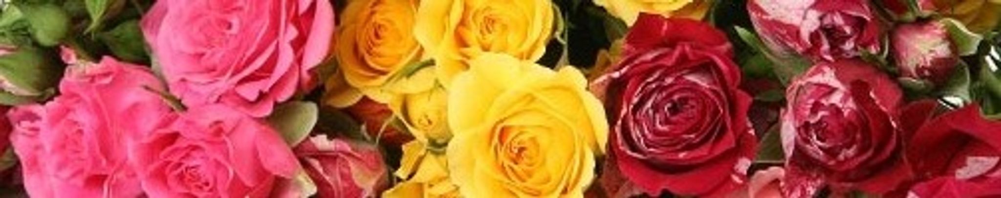 Cover photo for Barbara Nell Fallin's Obituary