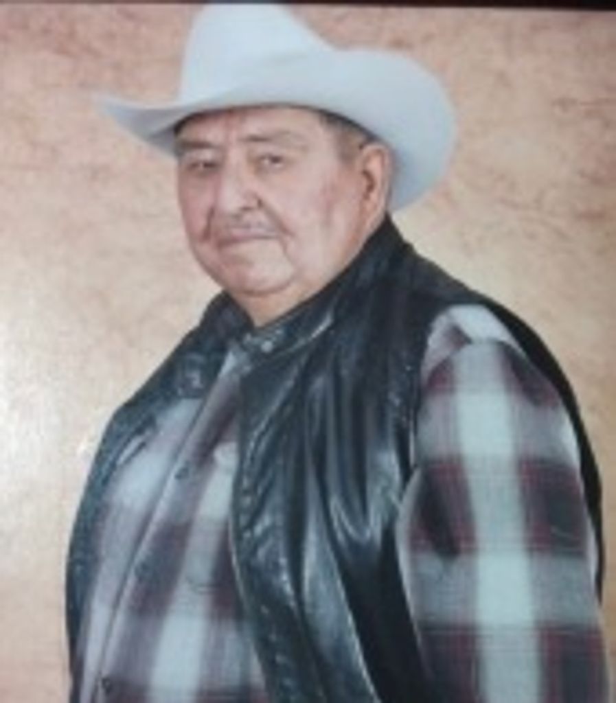 Daniel T Estrada