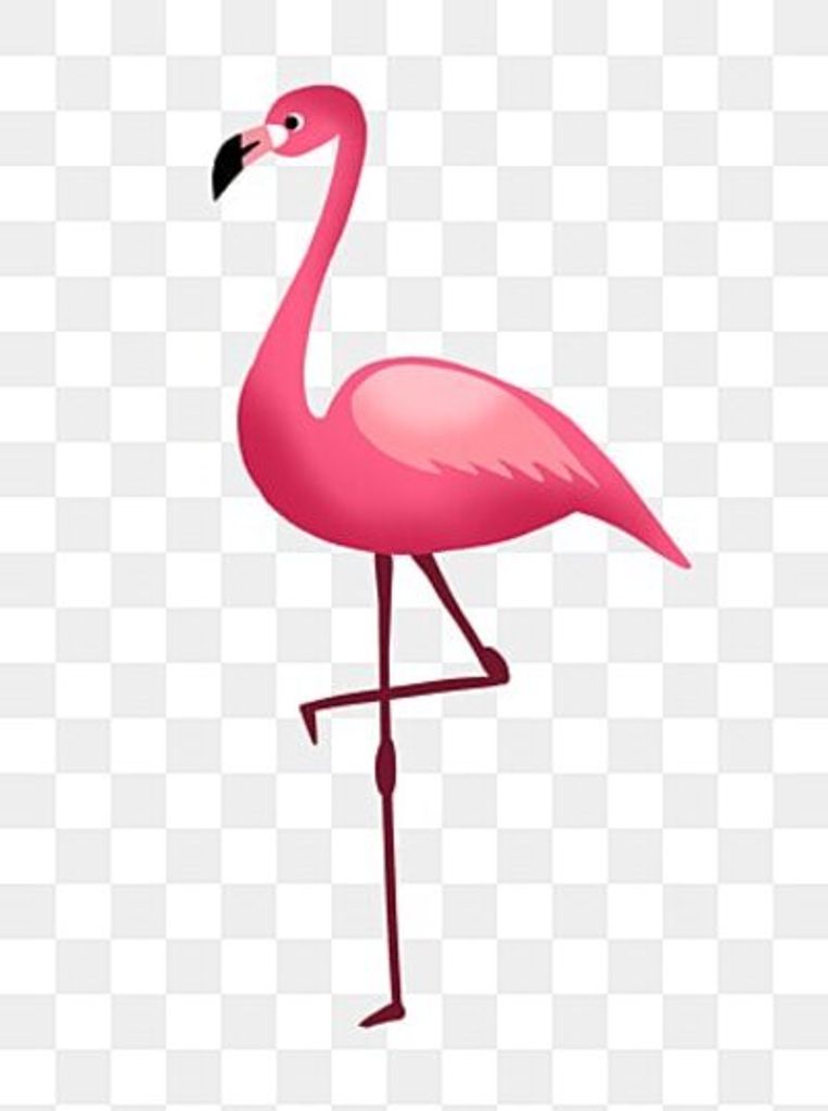 Sue Tomlinson Profile Photo