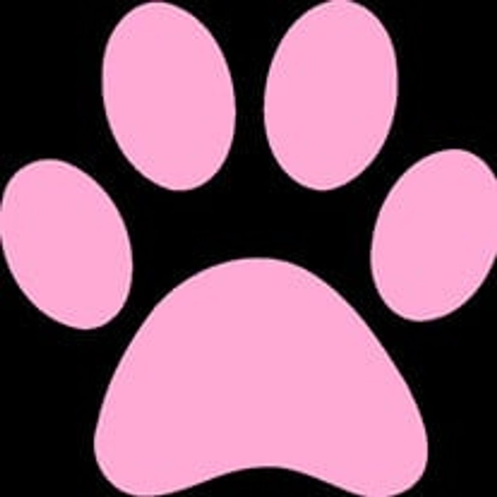 LC Anderson Profile Photo