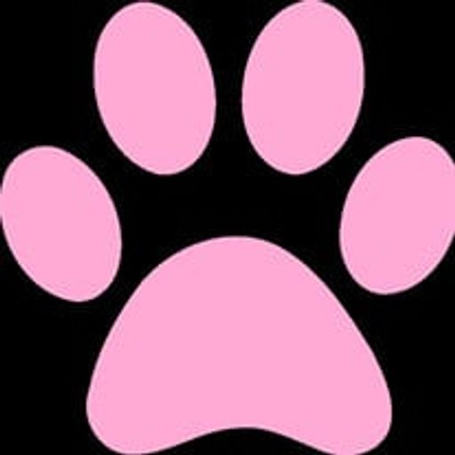Lexie Wachter's obituary image