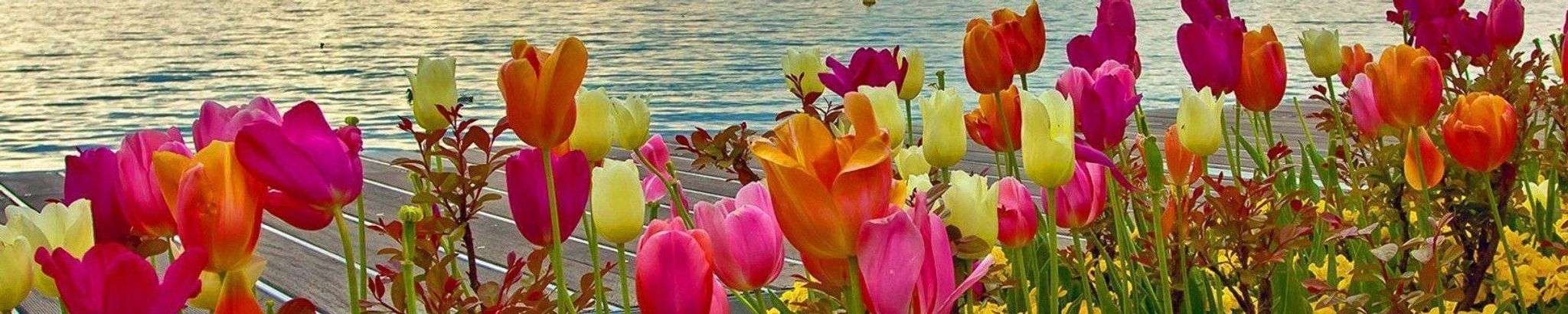 Cover photo for Sarah Renee Diffendall's Obituary
