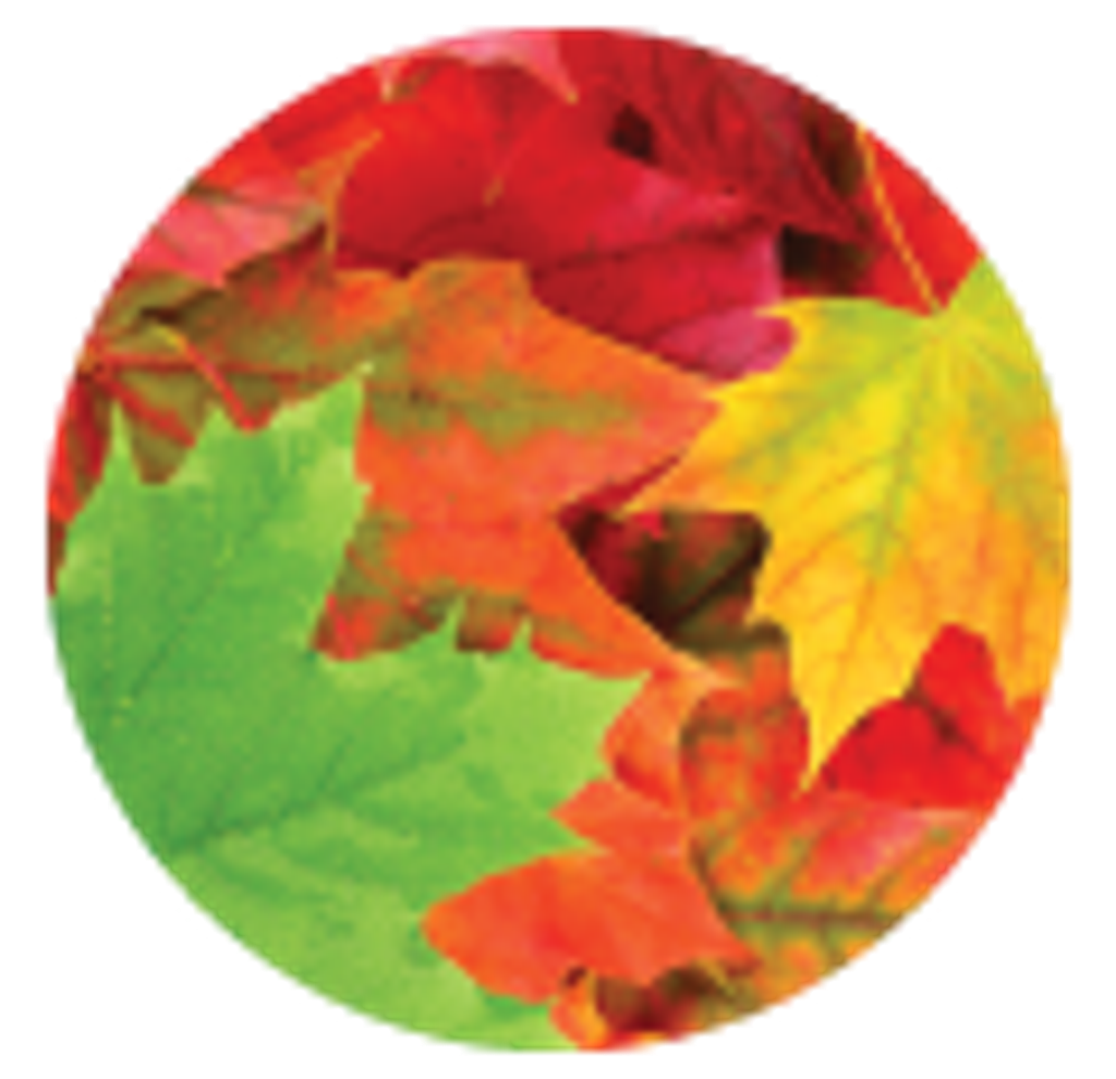 Georgia Louise (North) Webb Profile Photo