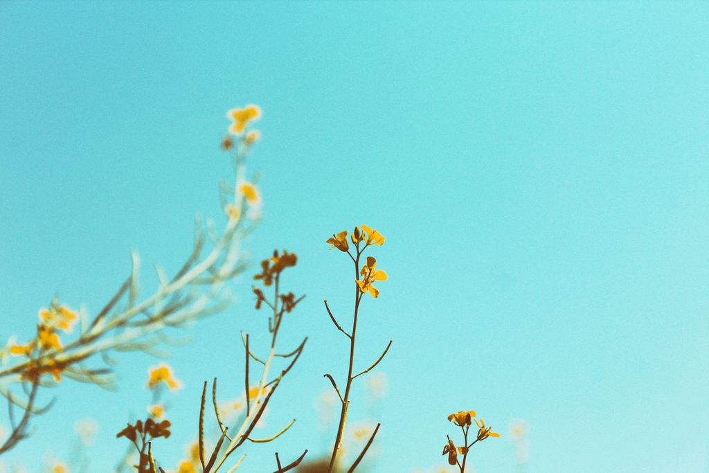 Annalee Fletcher Profile Photo