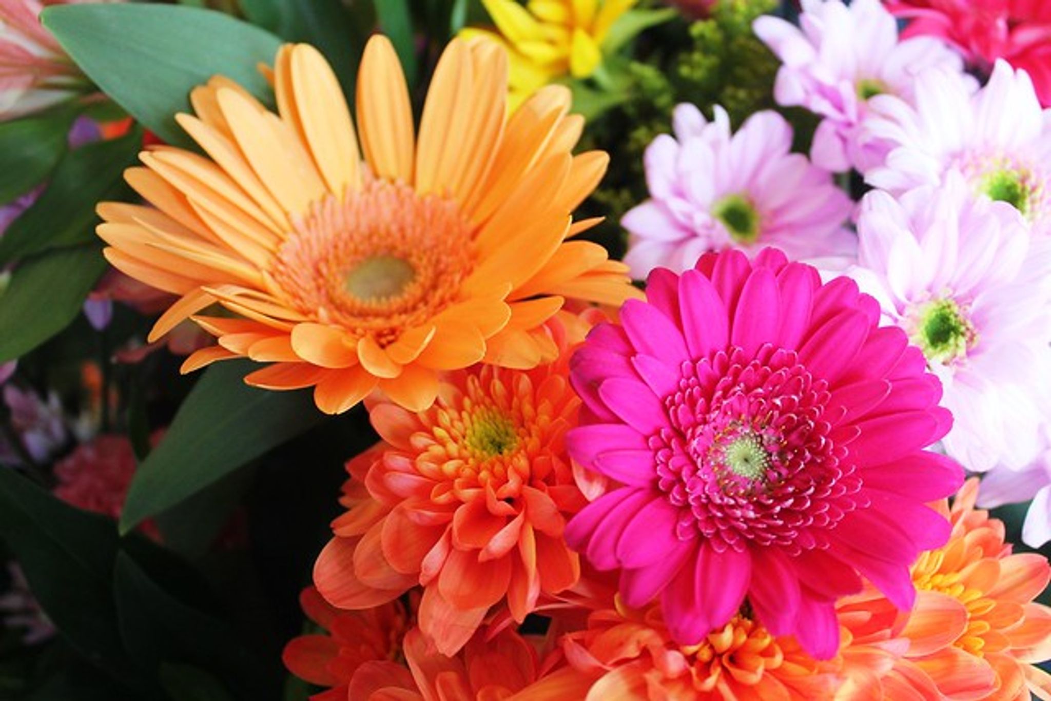 Cover photo for Brenda Martin Huffman's Obituary