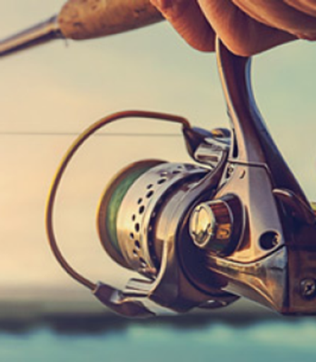 Michael N. Cable Profile Photo