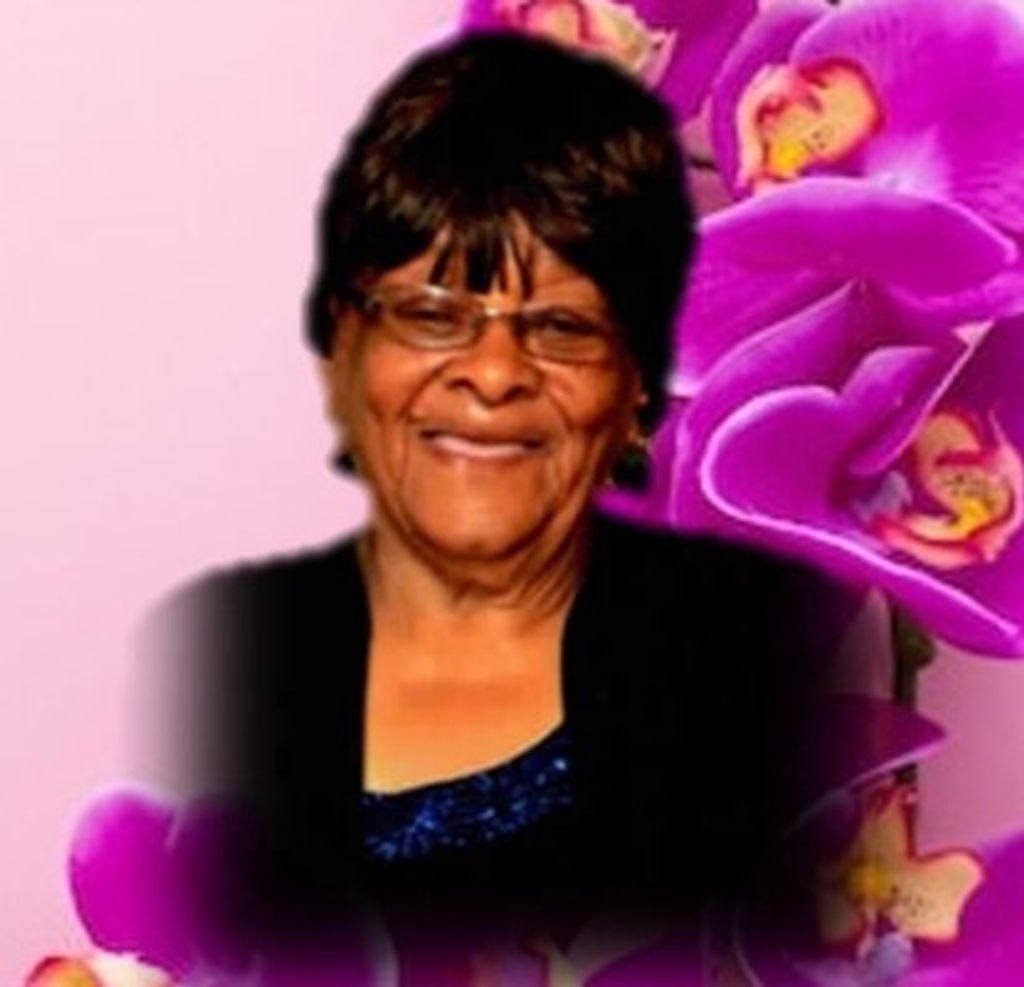 Wilene Anderson Profile Photo