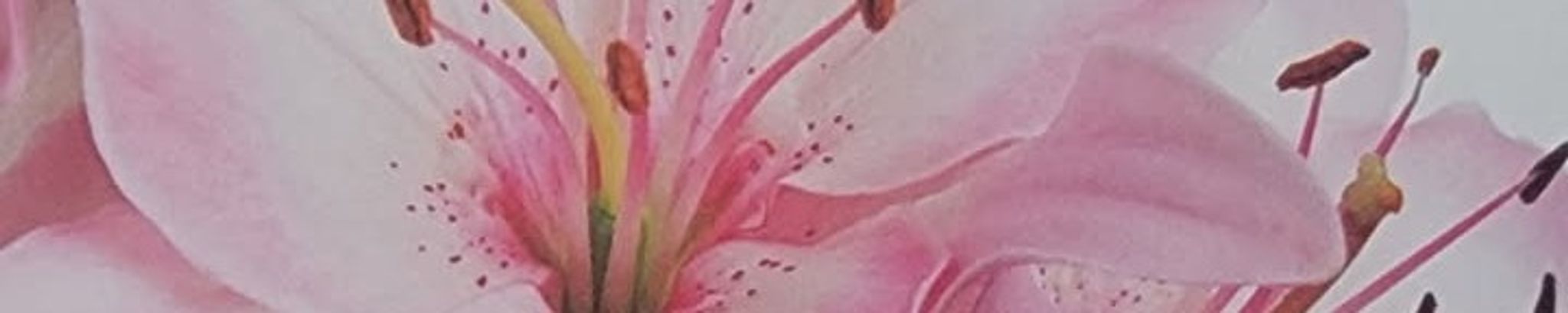 Cover photo for RN Lillian Marie Valentin's Obituary