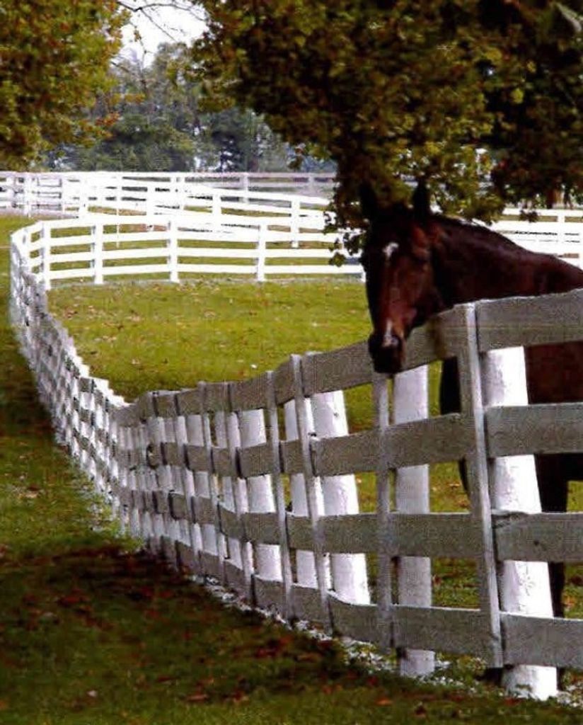 Brenda A. (Dietz)  Speck