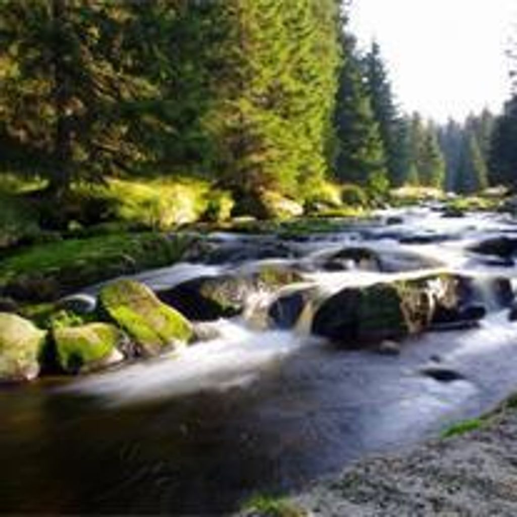 Walter Lee Hatcher Profile Photo