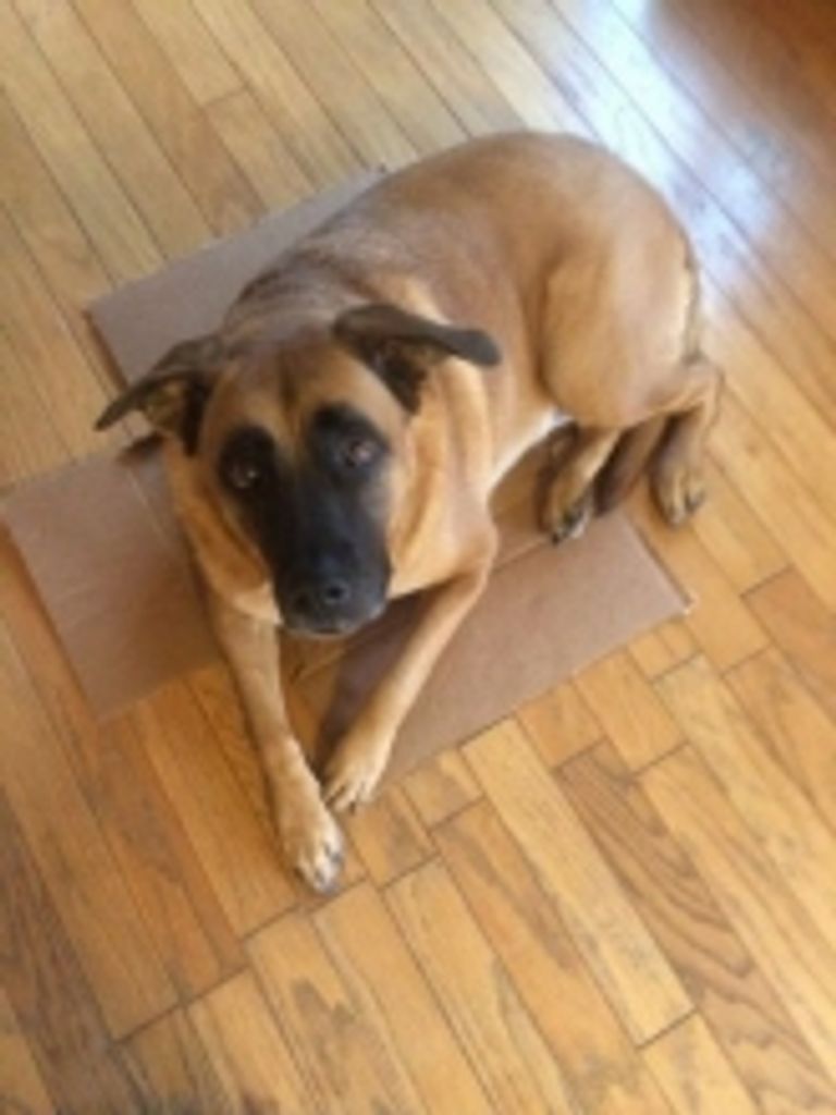 Sadie Grams Profile Photo