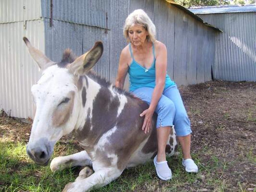 Judith Lee "Judih" Arell Paulson Profile Photo